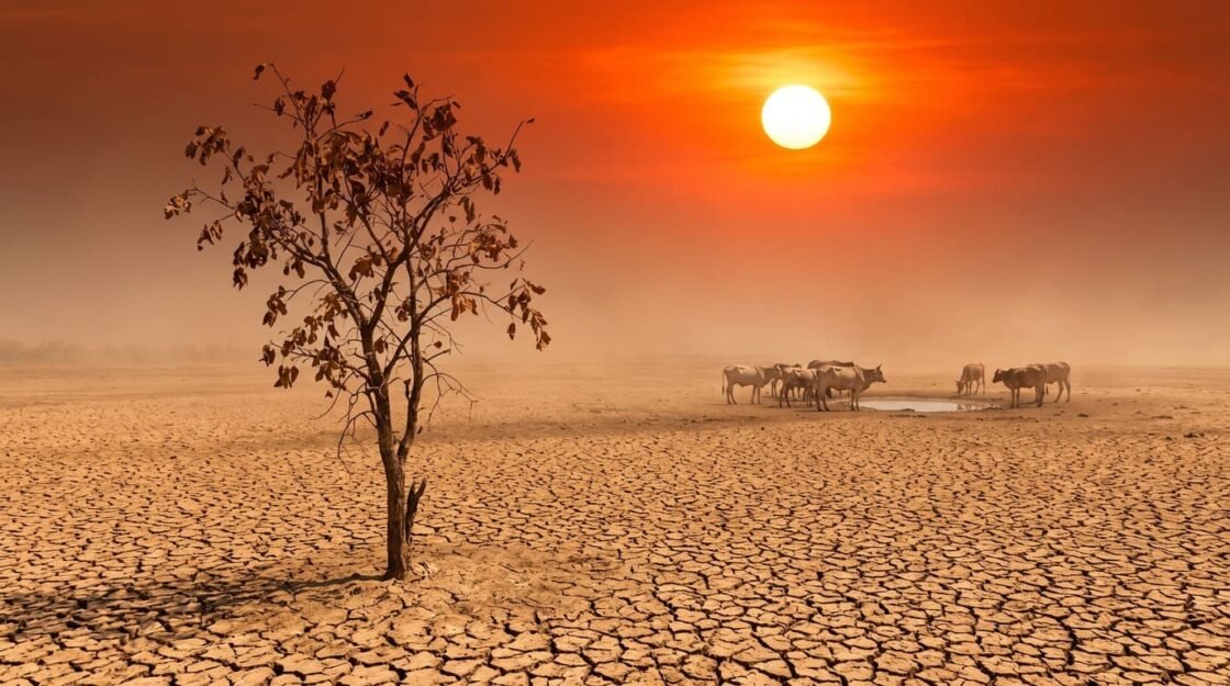 El Nino: Pengertian, Penyebab, Dampak, dan Status Terkini 2026