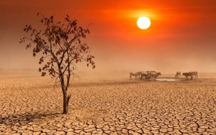 El Nino: Pengertian, Penyebab, Dampak, dan Status Terkini 2026
